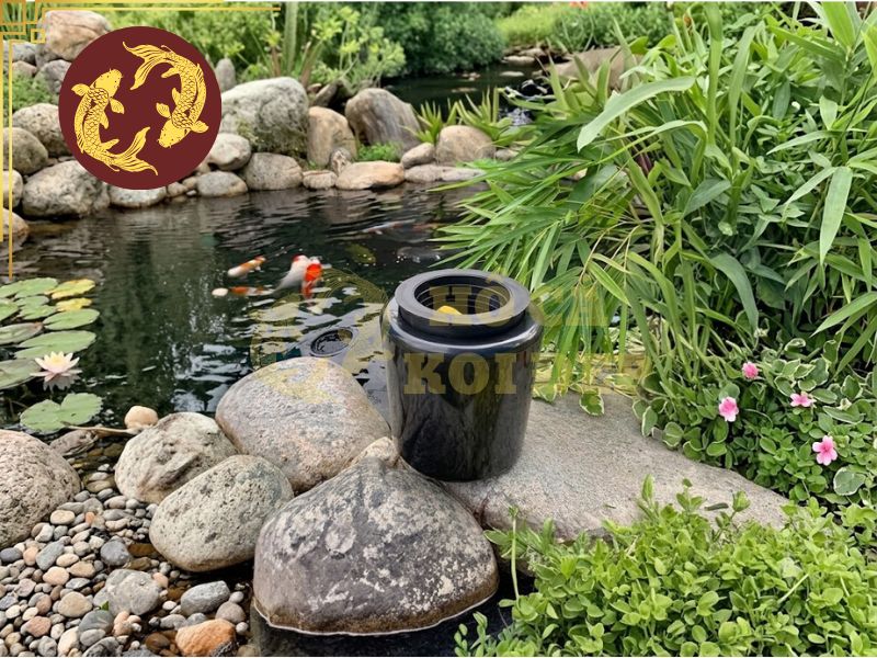 Hút Mặt Hồ Koi Pond Master D200; 18cm; 48mm 6 Thường xuyên kiểm tra, bảo dưỡng để hút mặt hoạt động tốt hơn