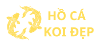 Hồ Cá Koi Đẹp – Chuyên phụ kiện, thiết bị Cá Koi