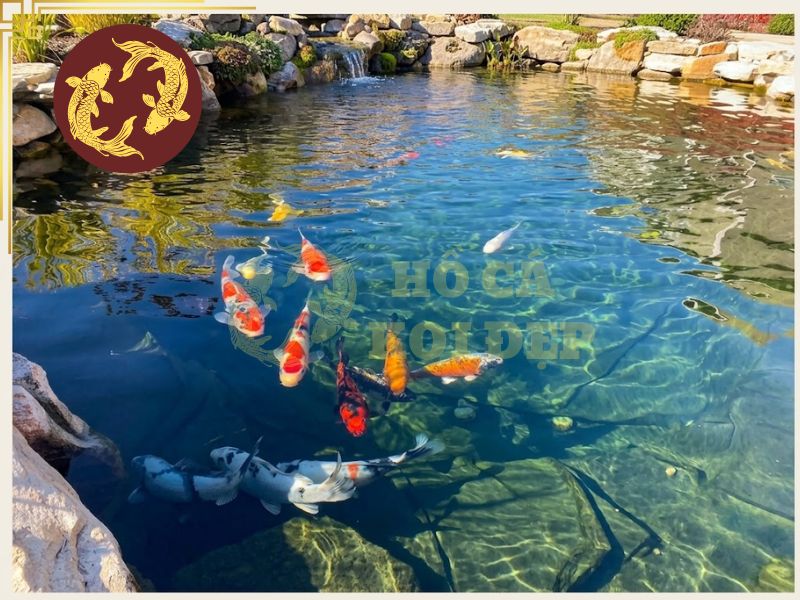 Máy Bơm Hồ Cá Koi Enjoy Royal AC Pump 25000 - 200W; 25000L/h; 7.5M 5 Chọn máy phù hợp để mang lại hiệu quả tốt nhất cho hồ cá