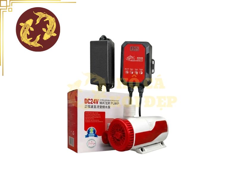 Máy Bơm Baoyu BY-F6000 – 6000L/h, Công Suất 40W, Đầu Ra Ø42mm 5 Máy bơm Baoyu BY DC