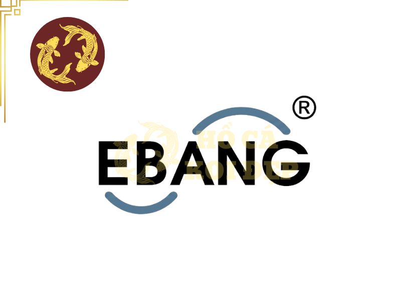 Máy Bơm Luồng Ebang FW-A12000 - 12.000L/H, 30W, Φ 75mm 1 Các dòng máy của Ebang hướng đến sự cân bằng hiệu suất và tối ưu chi phí