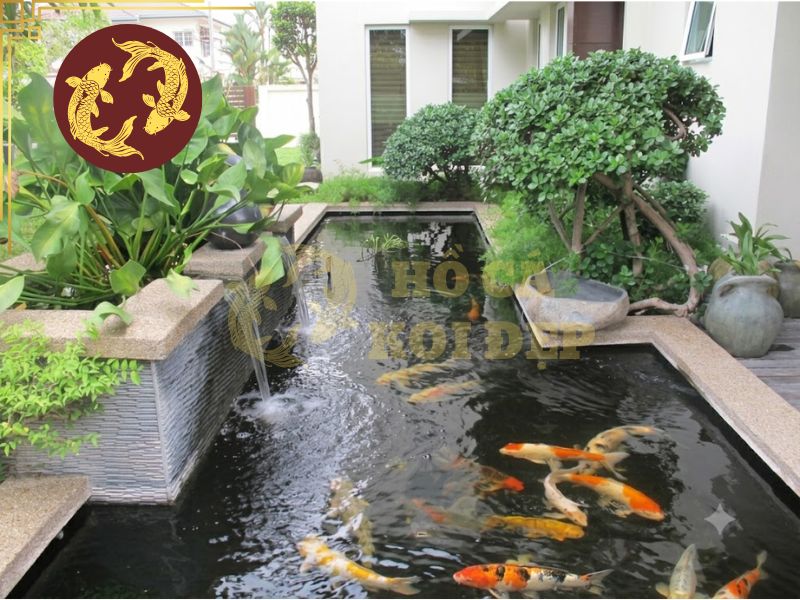 Máy Bơm Luồng Ebang FW-A12000 - 12.000L/H, 30W, Φ 75mm 8 Vệ sinh máy định kỳ vừa duy trì chất lượng nước, vừa kéo dài tuổi thọ máy