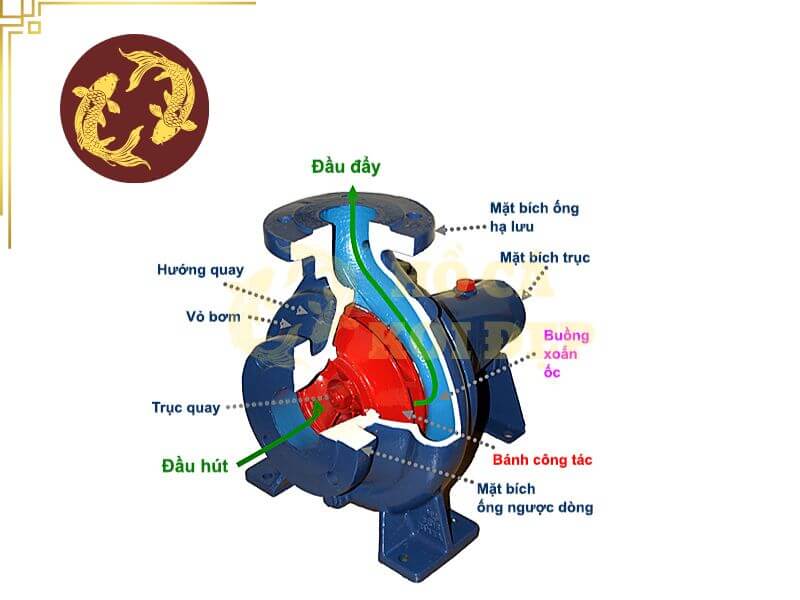 Máy Bơm Tạt Hồ Cá Koi Periha PG 35 - ∅75; 220-240V 3 Nguyên lý hoạt động của máy bơm hồ cá Koi