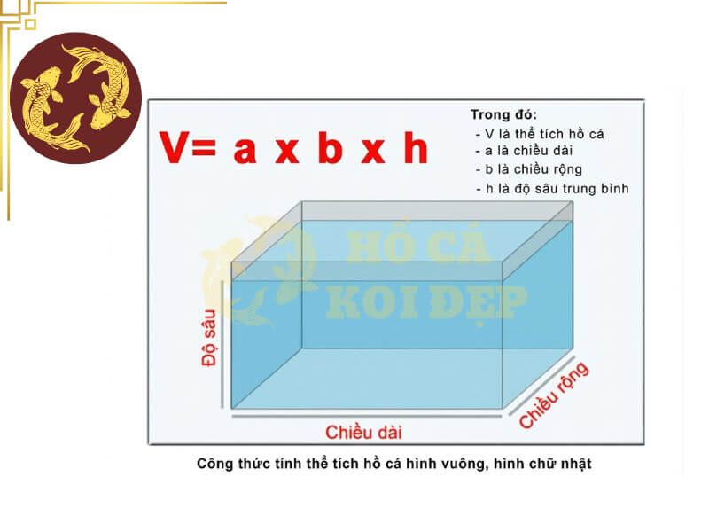 Máy Bơm Tạt Hồ Cá Koi Periha PG 35 - ∅75; 220-240V 5 Cách xác định thể tích hồ cá koi hiện có