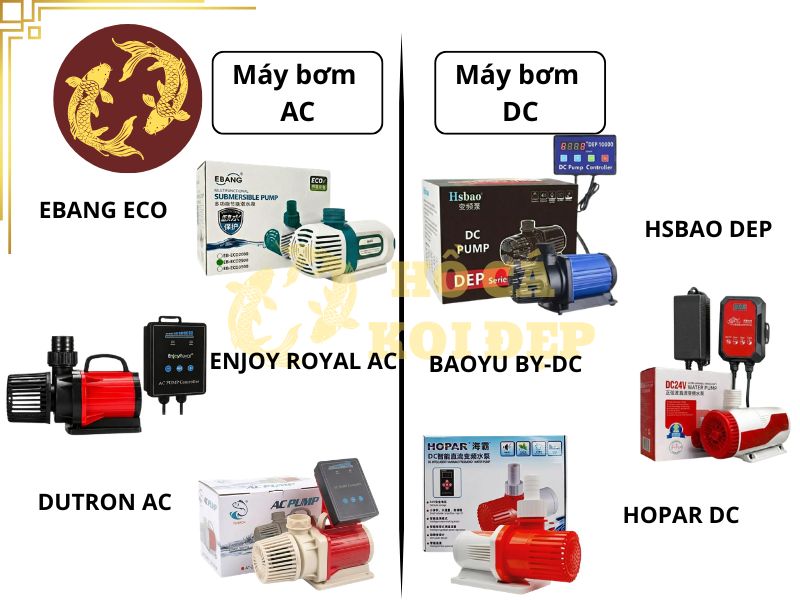 Máy Bơm Tạt Hồ Cá Koi Periha PG 35 - ∅75; 220-240V 7 Gợi ý một số dòng máy bơm hồ cá koi AC và DC