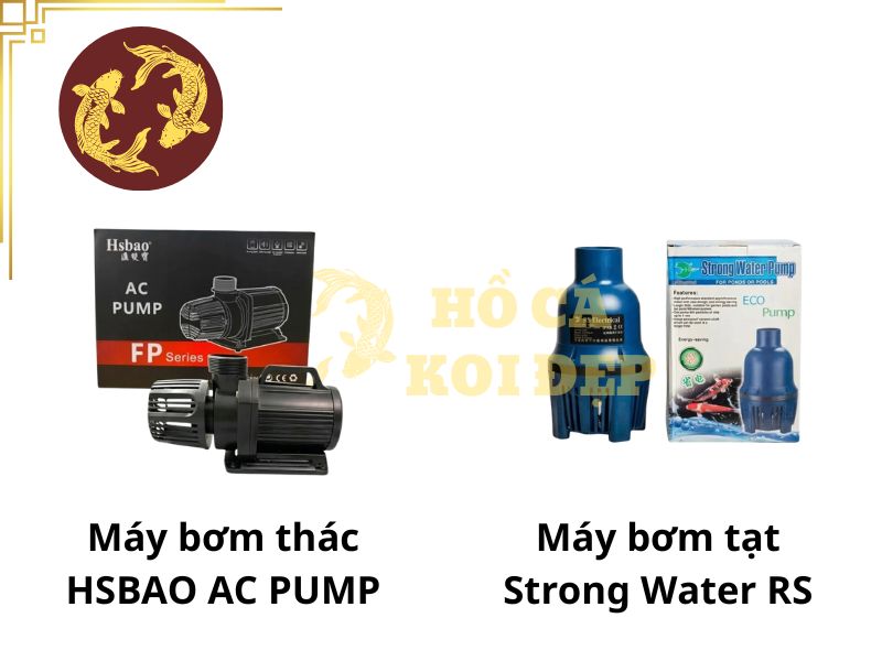 Máy Bơm Tạt Hồ Cá Koi Periha PG 35 - ∅75; 220-240V 4 Hai trong số các dòng máy bơm tạt và bơm thác phổ biến với người chơi cá koi