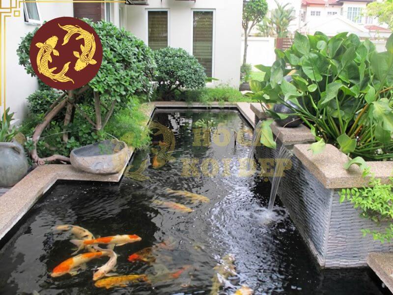 Máy Bơm Tạt Hồ Cá Koi Periha PG 35 - ∅75; 220-240V 1 Máy bơm hồ cá Koi trong hệ thống lọc tuần hoàn nước cho hồ cá Koi sân vườn