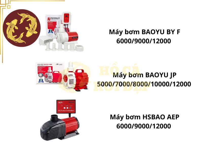 Máy bơm hồ Koi 2 khối: Nên chọn lưu lượng bao nhiêu lít/giờ? 3 Top 3 dòng máy bơm cho hồ koi 2 khối đang thịnh hành
