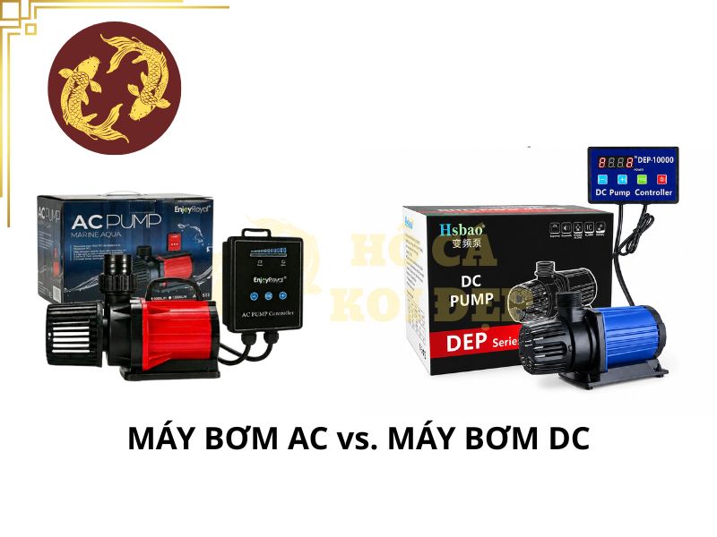 Máy bơm hồ Koi 2 khối: Nên chọn lưu lượng bao nhiêu lít/giờ? 5 Máy bơm AC lẫn DC đều có vai trò riêng