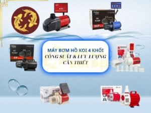 Lựa chọn máy bơm phù hợp cho hồ koi 4 khối