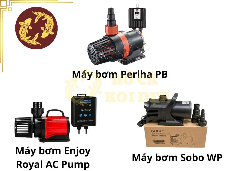 Máy bơm hồ Koi 4 khối: Công suất và lưu lượng cần thiết 5 Top 3 máy bơm hồ koi 4 khối được ưa chuộng