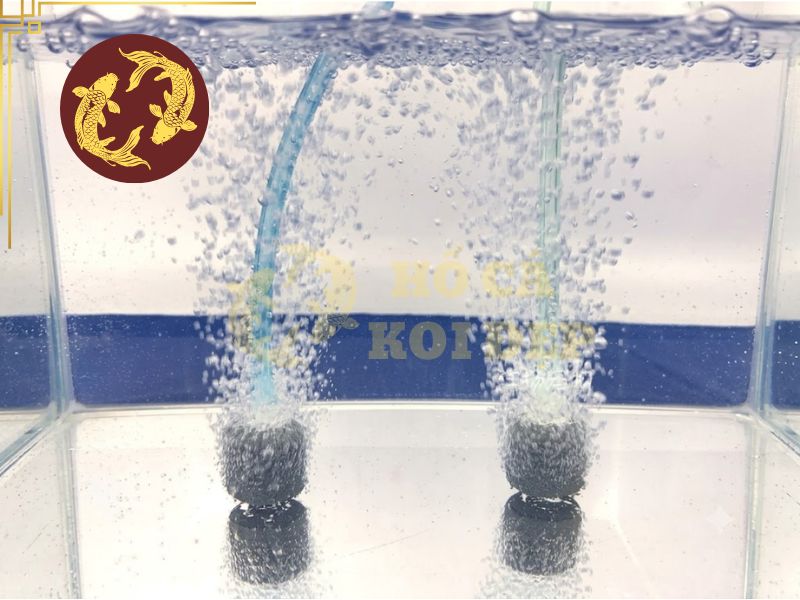Máy Sủi Oxy Hailea ACO-9750 - 110 L/phút, 65W 2 Máy sủi duy trì oxy để nuôi dưỡng sự sống cho hồ cá
