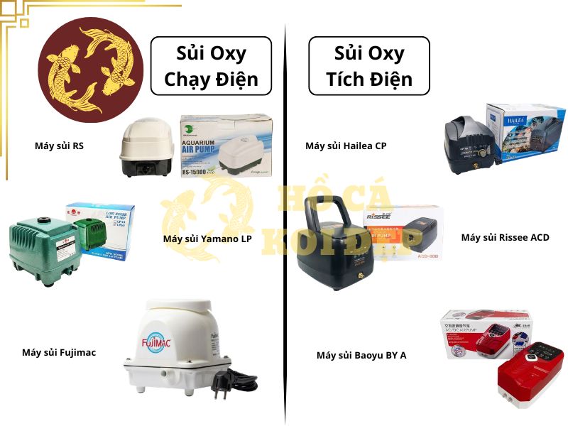 Máy Sủi Oxy Hailea ACO-9750 - 110 L/phút, 65W 5 Cần nắm rõ nhu cầu để lựa chọn máy sủi phù hợp