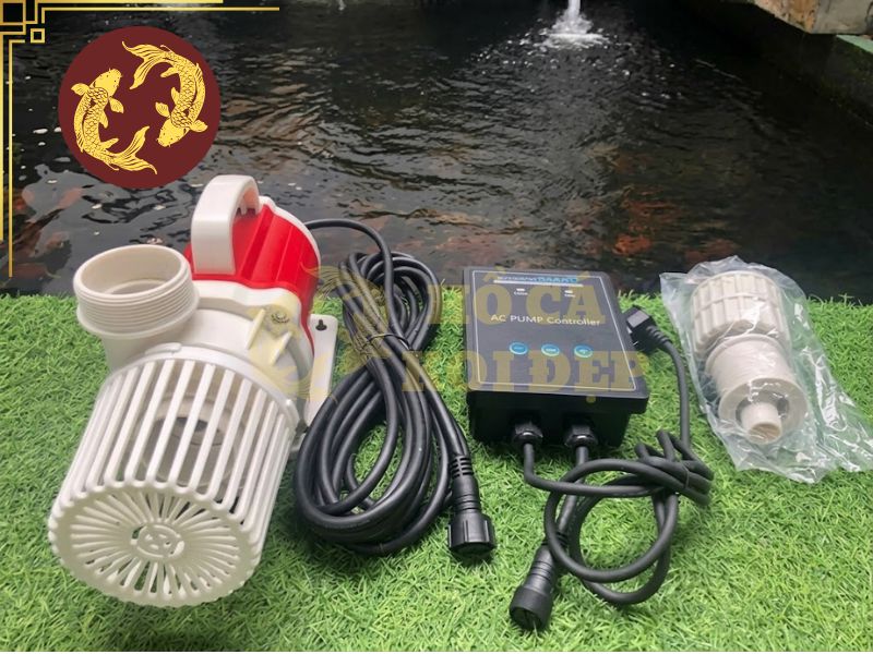 Nước hồ Koi bị đục: Nguyên nhân và cách xử lý 4 Lựa chọn máy bơm với lưu lượng phù hợp hồ cá