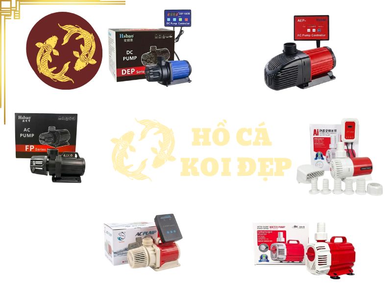 Cách tính lưu lượng máy bơm cho hồ cá Koi chính xác nhất 4 Phân biệt rõ các khái niệm để lựa chọn hợp lý