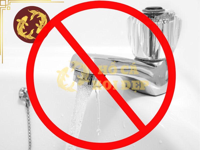 Đá Lông Vũ (Nham Thạch Trắng) (Bao 20kg) 10 Clo trong nước máy là tác nhân chính triệt tiêu các vi sinh vật có lợi