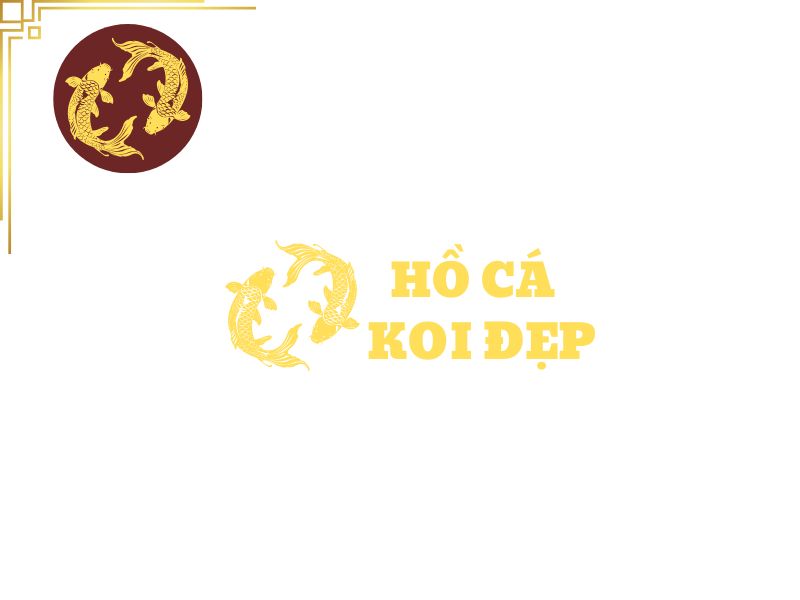 Đá Lông Vũ (Nham Thạch Trắng) (Bao 20kg) 13 Hồ Cá Koi Đẹp luôn sẵn sàng đón nhận và giải đáp mọi thắc mắc của quý khách hàng trong quá trình setup hồ cá koi