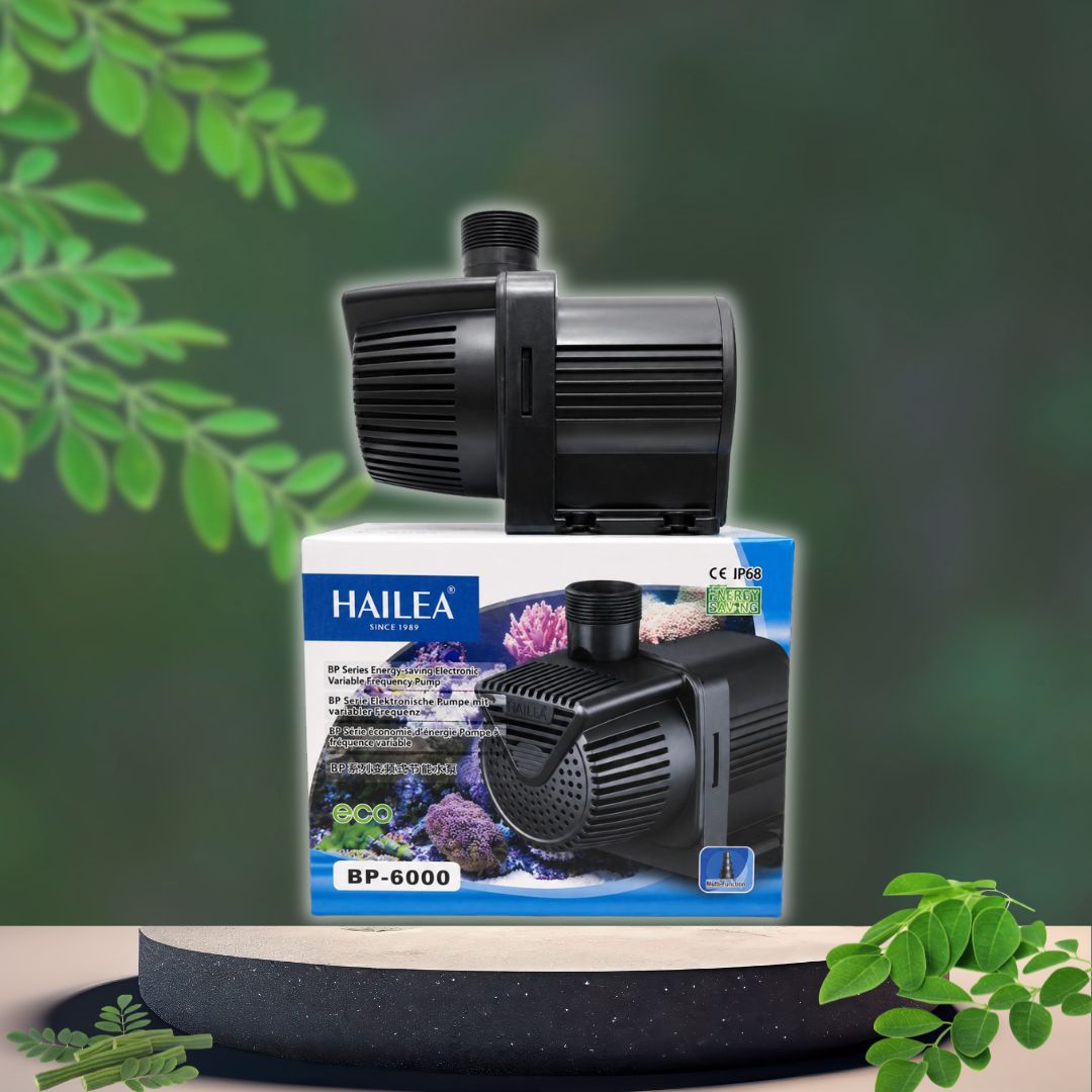 Máy bơm đẩy Hailea BP-6000 - 40W; 6000L/H; 4.5m 5 Máy bơm đẩy Hailea BP-6000