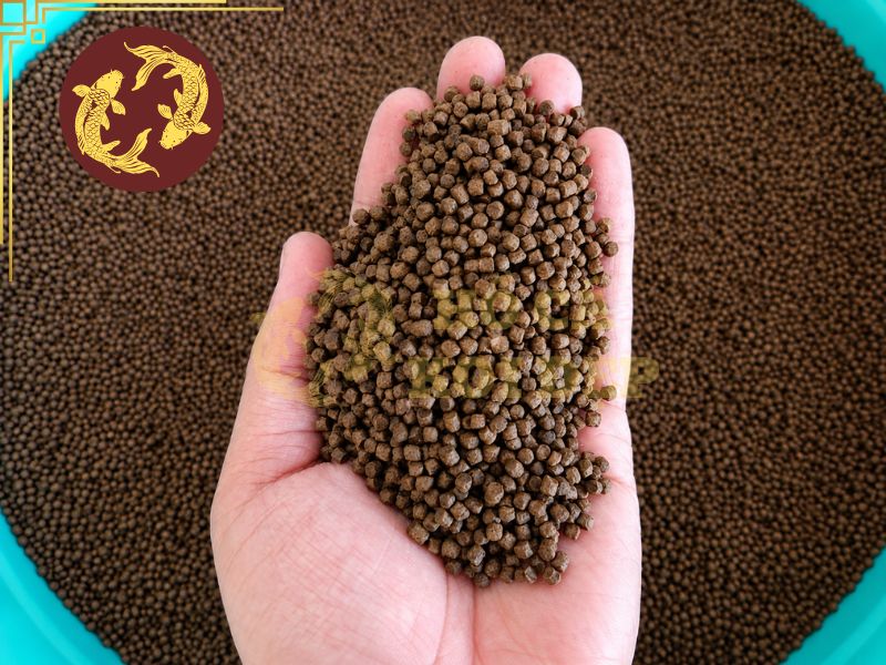 Cá koi ăn gì mau lớn? Hướng dẫn cho ăn đúng để cá tăng trưởng nhanh 6 Chỉ nên cho cá ăn với lượng thức ăn hợp lý, tránh lãng phí và làm ô nhiễm nguồn nước