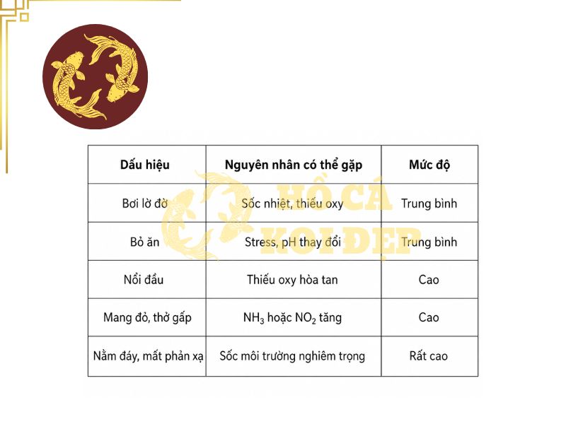 Cá Koi lờ đờ sau mưa: Tại sao và phải làm gì? 3 Bảng phân loại một số dấu hiệu bất thường ở cá koi và nguyên nhân có thể gặp