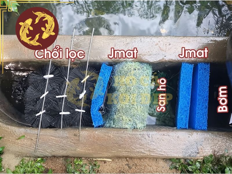 Cá koi sống được bao lâu? Top 5 yếu tố quyết định tuổi thọ của cá 5 Hệ thống lọc chất lượng cùng chỉ số nước phù hợp tạo điều kiện cho cá koi phát triển tốt