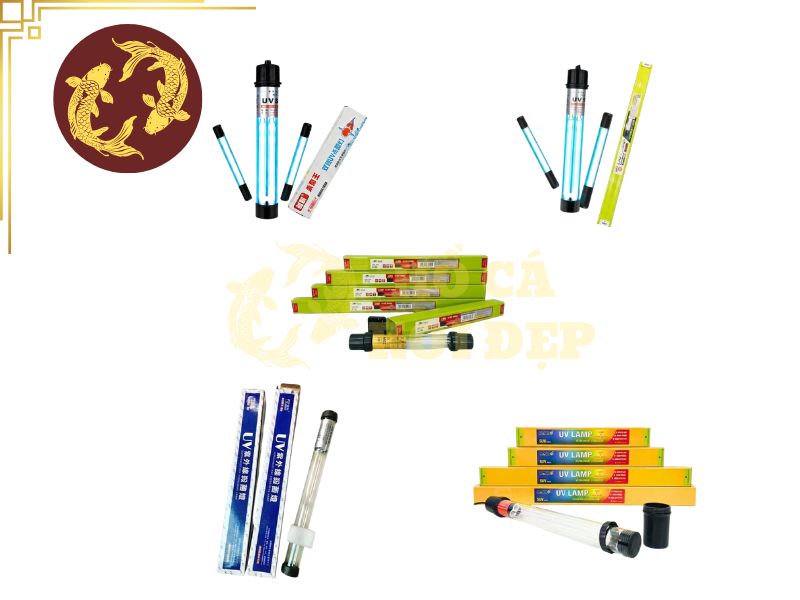 Cách lắp đèn UV cho hồ cá koi - Bảng tính theo thể tích hồ 4 Hiểu cách lắp đèn UV cho hồ cá koi giúp hồ cá phát triển mạnh mẽ
