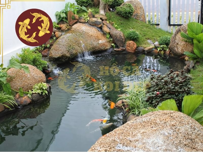 Nhiệt độ nước hồ koi vào mùa nắng như thế nào là hợp lý? 4 Ngưng cho ăn khi nhiệt độ quá cao để tránh tăng thêm chất hữu cơ có hại cho nguồn nước