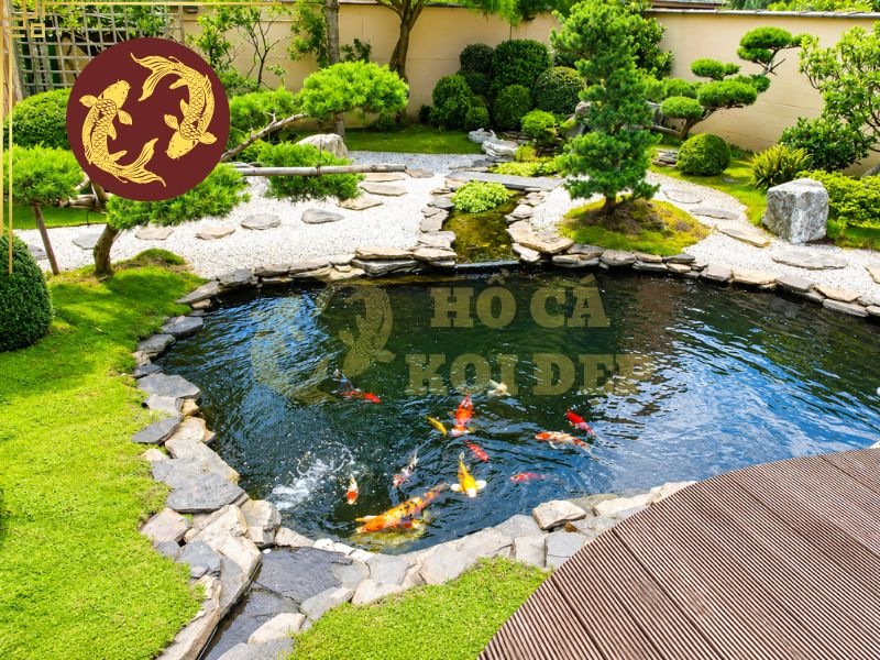 Nuôi cá koi trong hồ xi măng và những điều cần biết 5 Xây dựng hồ xi măng hoàn chỉnh giúp tăng mỹ quan cho không gian nhà bạn
