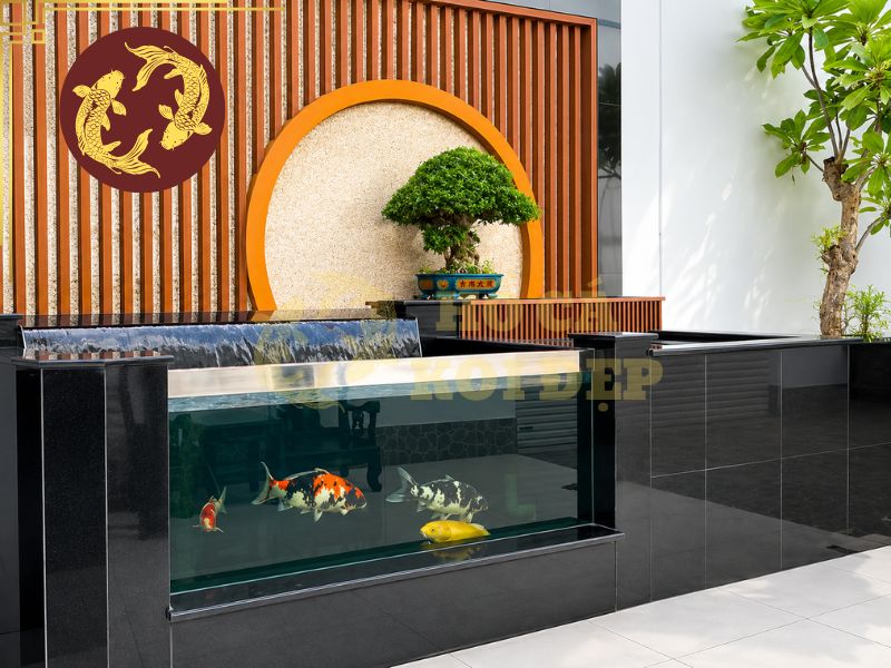 Có nên nuôi cá koi trong bể kính? Những lưu ý bạn không nên bỏ qua 5 Cần đặc biệt chú ý xây dựng hệ thống lọc phù hợp với thể tích hồ kính
