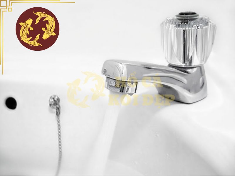 Thay nước hồ Koi bao nhiêu % và bao lâu một lần? 5 Không được sử dụng nước máy nếu chưa qua xử lý clo