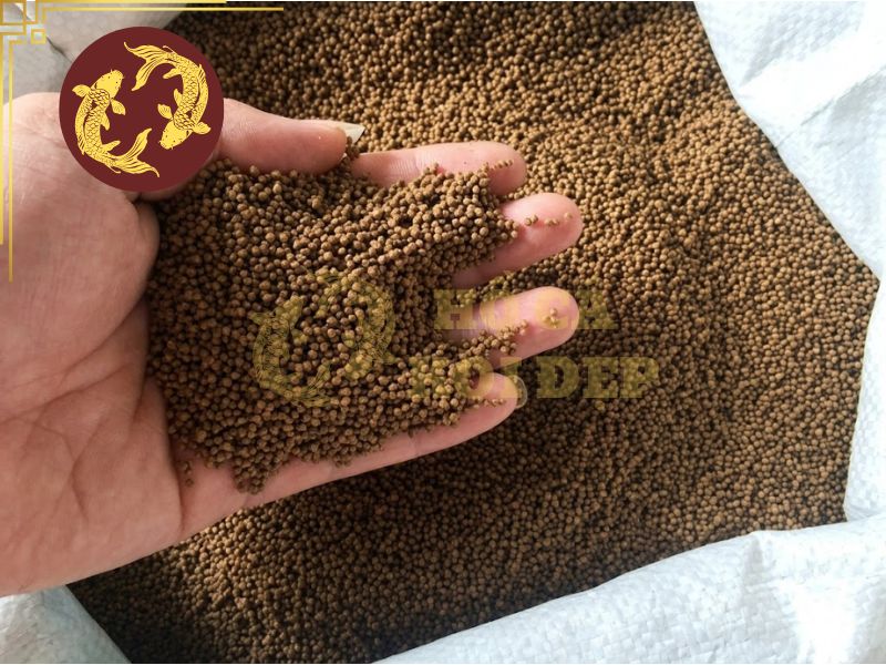 Thức Ăn Cho Cá Koi: Cách Chọn Đúng Để Cá Khỏe, Lớn Nhanh, Lên Màu Đẹp 1 Chọn đúng thức ăn cho cá koi để cá phát triển bền vững