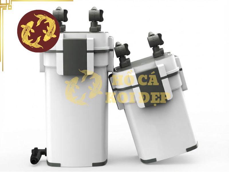 Vệ sinh thùng lọc hồ Koi đúng cách — không làm chết vi sinh 1 Cần lưu ý vệ sinh thùng lọc hồ koi nhưng không làm mất vi sinh