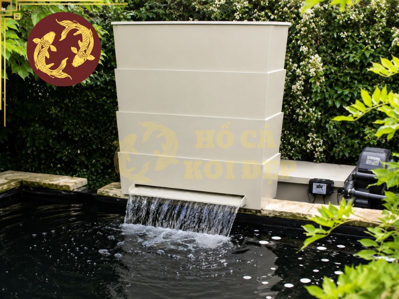 Tìm Hiểu Hệ Thống Bakki Shower Hồ Koi Từ A Đến Z 7 Không nên kỳ vọng hiệu quả xử lý nước đạt mức tối ưu ngay sau khi lắp đặt.