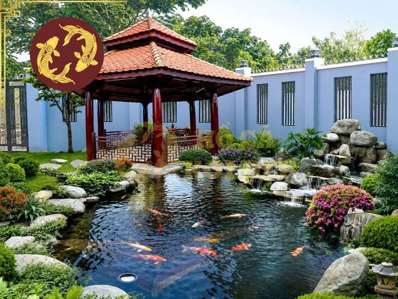 Cá Koi Hợp Mệnh Gì? Bí Quyết Chọn Màu Cá Mang Ý Nghĩa Tài Lộc 3 Gia chủ có thể lấy màu tương ứng với bản mệnh làm màu chính cho đàn Koi, sau đó bổ sung những màu khác để tạo sự cân bằng