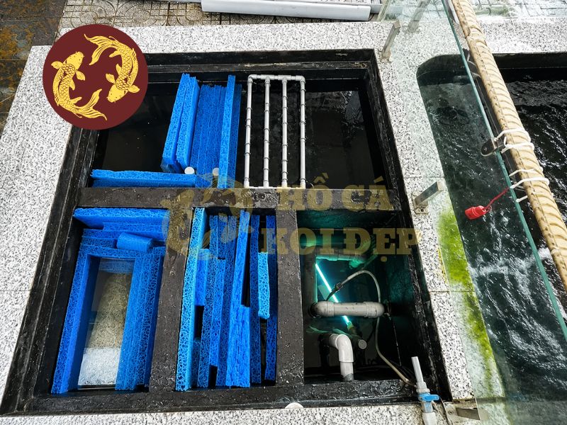 Chi phí làm hồ cá koi: Cách dự toán ngân sách trước khi thi công 3 Hệ thống lọc được thiết kế đúng công suất sẽ giúp duy trì chất lượng nước ổn định