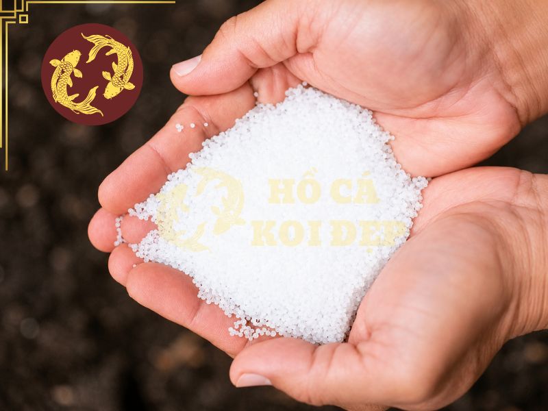 Đánh Muối Hồ Koi Đúng Liều, An Toàn Cho Cá 2 Nồng độ muối hồ Koi cần được xác định dựa trên mục đích sử dụng, tình trạng cá và thể tích nước thực tế