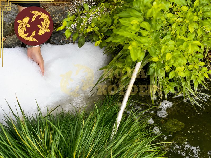 Đánh Muối Hồ Koi Đúng Liều, An Toàn Cho Cá 3 Tham khảo công thức tính lượng muối hồ koi phù hợp