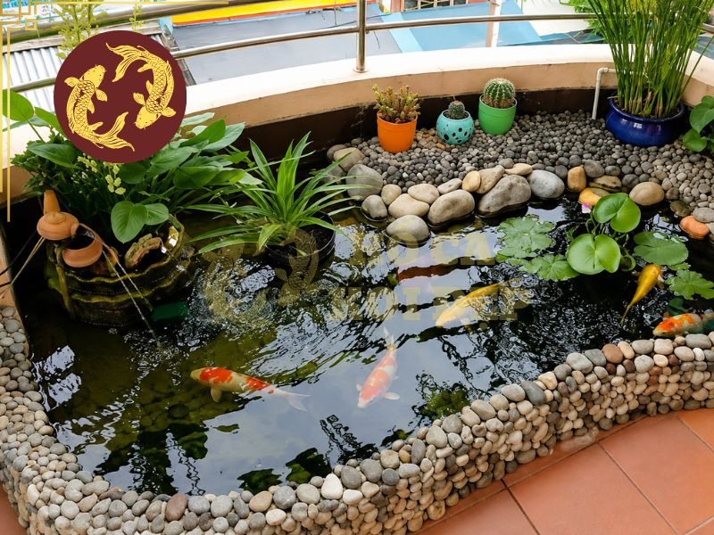 Hồ cá koi mini là gì? Hướng dẫn thiết kế và chăm sóc đúng cách 1 Hồ cá koi mini vẫn tạo môi trường sống lý tưởng cho cá koi