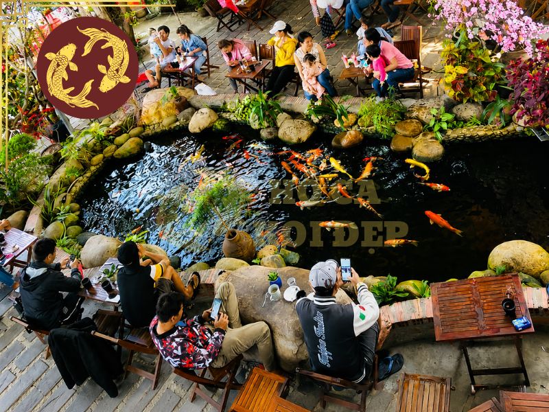 Hồ cá koi mini là gì? Hướng dẫn thiết kế và chăm sóc đúng cách 6 Hồ mini cho không gian quán cà phê
