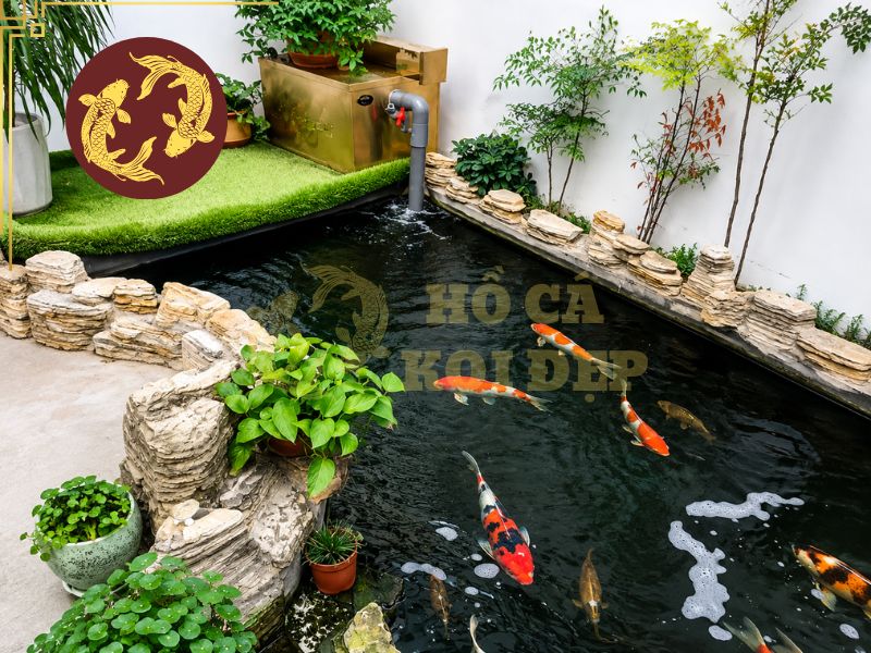 Hồ Cá Koi Sân Thượng Có Nên Làm Không? 1 Hồ cá koi sân thượng như một giải pháp thay thế cho những căn hộ hạn chế diện tích sân vườn