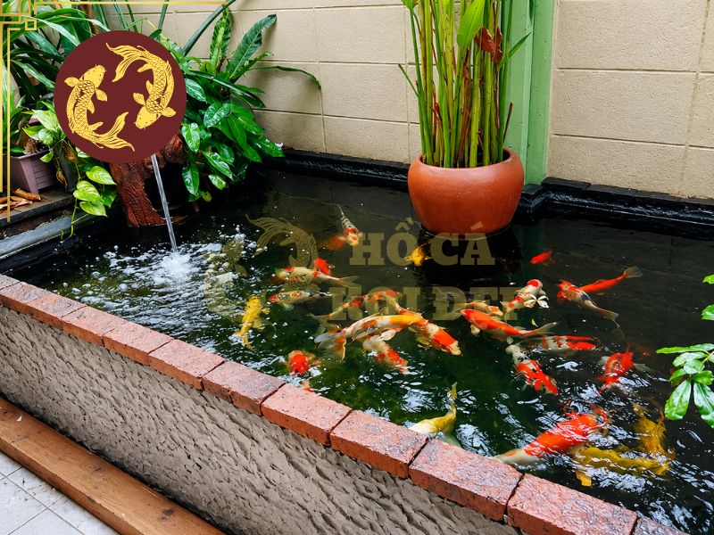 Hồ Cá Koi Sân Thượng Có Nên Làm Không? 3 Sân thượng trở thành vị trí lý tưởng để thiết kế hồ koi kết hợp cây xanh, thác nước và khu vực nghỉ ngơi.