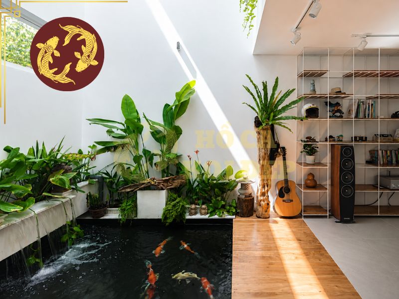 Hồ cá koi trong nhà: Giải pháp kiến tạo không gian sống đẳng cấp 6 Kích thước hồ cá koi trong nhà cần phù hợp với diện tích thực tế của ngôi nhà