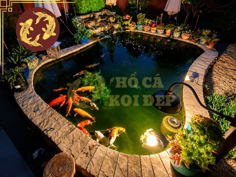 Hồ cá koi trong nhà: Giải pháp kiến tạo không gian sống đẳng cấp 2 Hồ koi trong nhà mang lại cảm giác gần gũi, thư giãn