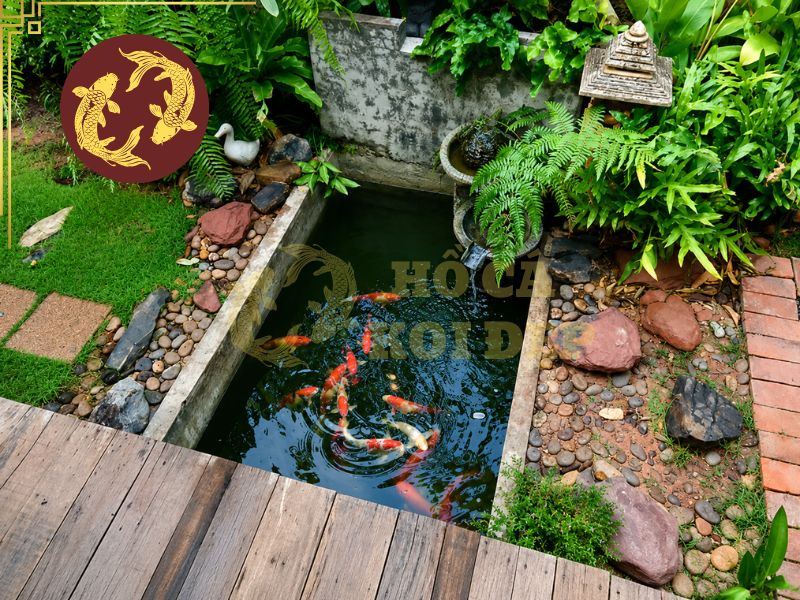 Hướng Đặt Hồ Cá Koi Theo Phong Thủy Tốt Nhất 3 Hồ không nên đặt quá sát móng nhà hoặc tường nếu chưa có giải pháp chống thấm phù hợp