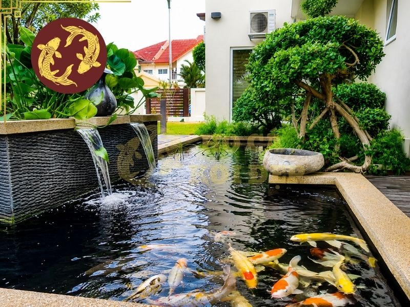 Hướng Dẫn Hút Đáy Hồ Cá Koi Đúng Cách, Sạch Cặn Không Làm Đục Nước 4 Ống hút đáy hồ koi là bộ phận quan trọng giúp đưa nước cùng cặn bẩn từ đáy hồ ra ngoài hoặc về khu vực xử lý