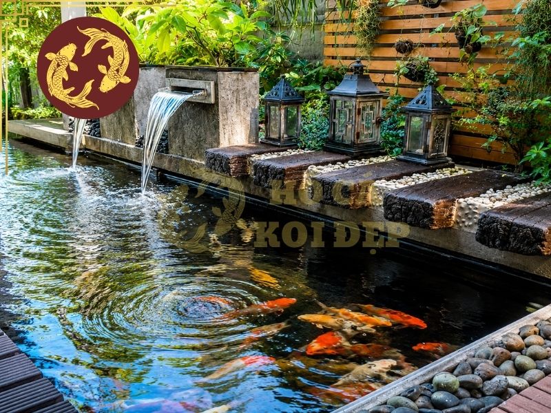 Hướng Dẫn Hút Đáy Hồ Cá Koi Đúng Cách, Sạch Cặn Không Làm Đục Nước 9 Nếu không kiểm soát được tốc độ hút, nước và cặn có thể bị xáo trộn mạnh.