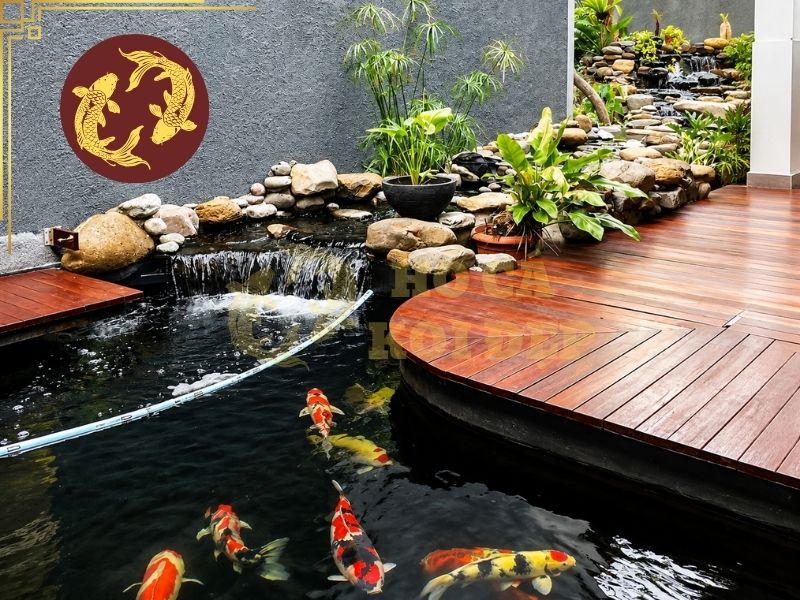 Hướng Dẫn Hút Đáy Hồ Cá Koi Đúng Cách, Sạch Cặn Không Làm Đục Nước 10 Khi hút đáy hồ cá koi, cần theo dõi lượng nước bị hút ra và tránh để mực nước giảm quá nhanh.
