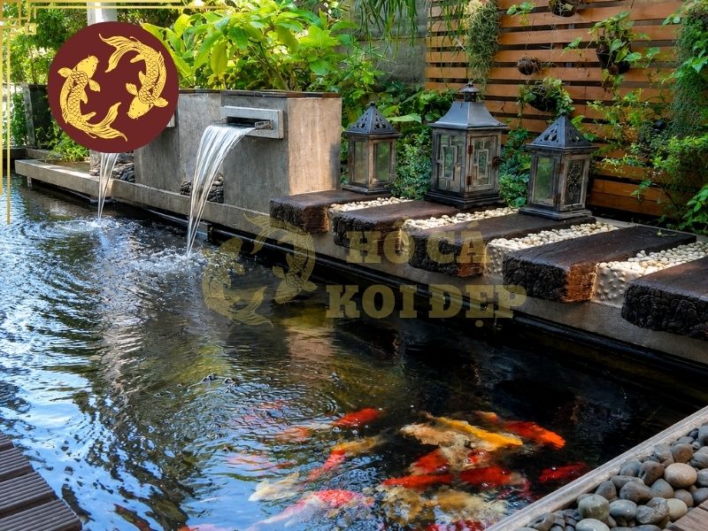 Hướng Dẫn Hút Đáy Hồ Cá Koi Đúng Cách, Sạch Cặn Không Làm Đục Nước 6 Kết nối ống hút đáy hồ koi với máy hút hoặc bơm hút. Kiểm tra các mối nối để đảm bảo không bị hở hoặc rò rỉ.