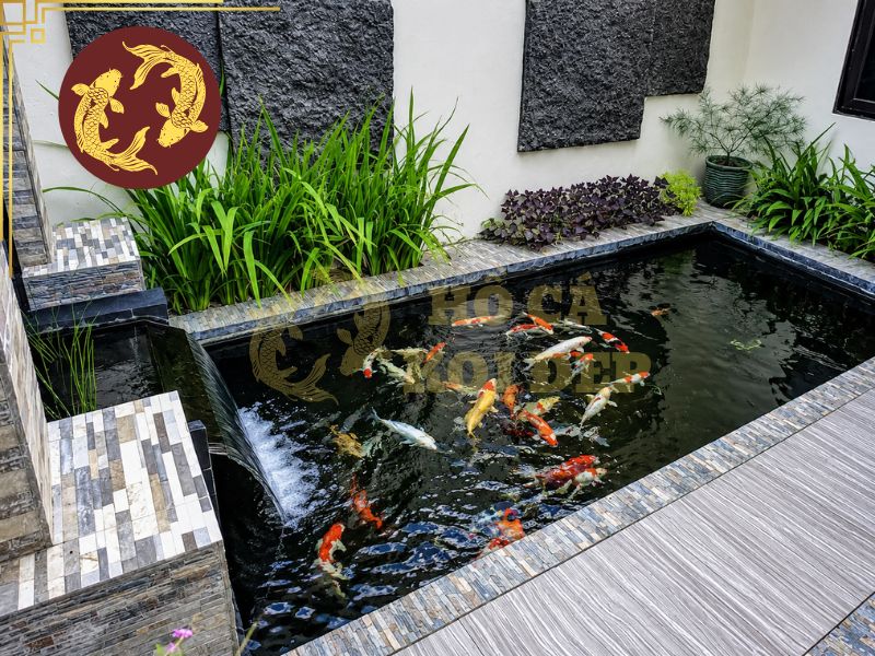 Hướng Dẫn Hút Đáy Hồ Cá Koi Đúng Cách, Sạch Cặn Không Làm Đục Nước 7 Di chuyển đầu hút từ từ trên bề mặt đáy để thu gom cặn mà không khuấy tung lớp bẩn.