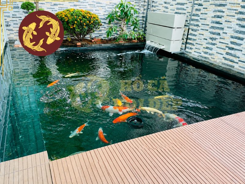 Cách Khử Clo Nước Máy Nuôi Cá Koi: Phương Pháp An Toàn, Hiệu Quả 1 Nước máy thường được xử lý bằng các chất khử trùng nhằm kiểm soát vi sinh vật và đảm bảo an toàn cho sinh hoạt